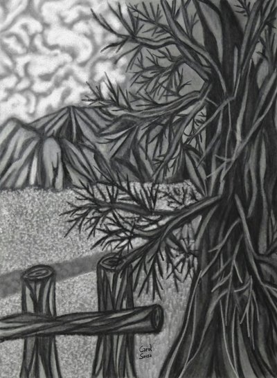 数码炭笔画-2 作者 卡罗尔·苏萨·奎略