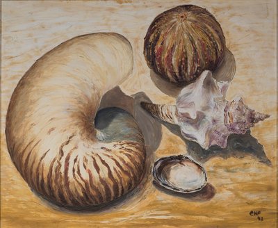 贝壳，1993年（纸上油） 作者 卡罗琳·哈伯德·福特