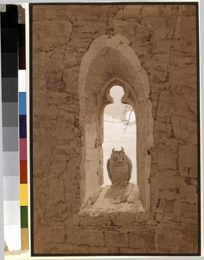 哥特式窗户里的猫头鹰卡斯帕尔-大卫-弗里德里希（Caspar David Friedrich，1774-1840 年）作品，纸上铅笔、毛笔和棕褐色调 作者 卡斯珀·大卫·弗里德里希（Caspar David Friedrich）