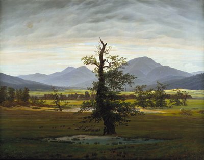 孤独的树 作者 卡斯珀·大卫·弗里德里希（Caspar David Friedrich）