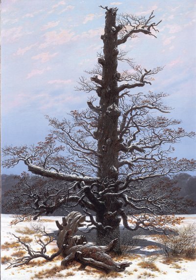 德语: Eichbaum im Schnee 雪中的橡树 作者 卡斯珀·大卫·弗里德里希（Caspar David Friedrich）