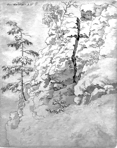 有树木的岩石斜坡 作者 卡斯珀·大卫·弗里德里希（Caspar David Friedrich）