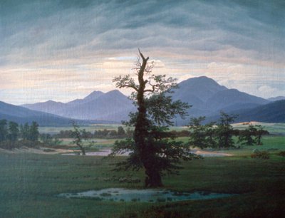孤树，1823年 作者 卡斯珀·大卫·弗里德里希（Caspar David Friedrich）
