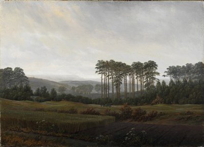 时间：下午1821-1822年 作者 卡斯珀·大卫·弗里德里希（Caspar David Friedrich）