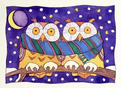 猫头鹰之夜 作者 凯茜·巴克斯特（Cathy Baxter）