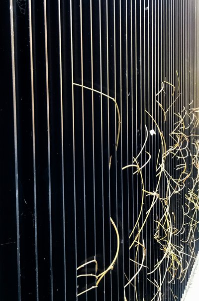 构图 - 街道，2020 年（照片） 作者 塞西尔·贾梅特