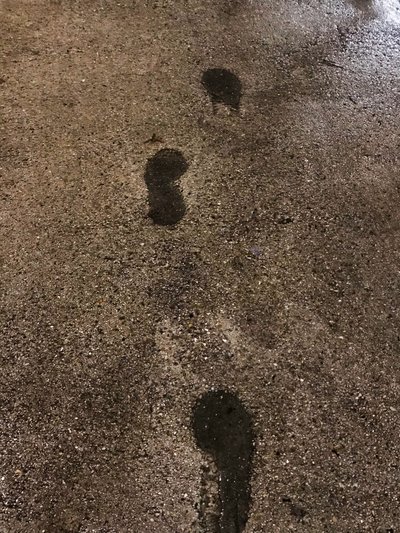 2021 年，构图（照片） 作者 塞西尔·贾梅特