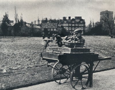 邱园的土豆，1941年 作者 塞西尔·比顿（Cecil Beaton）