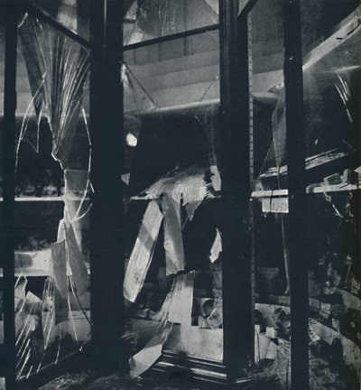 在1941年的自然历史博物馆中展示案例 作者 塞西尔·比顿（Cecil Beaton）