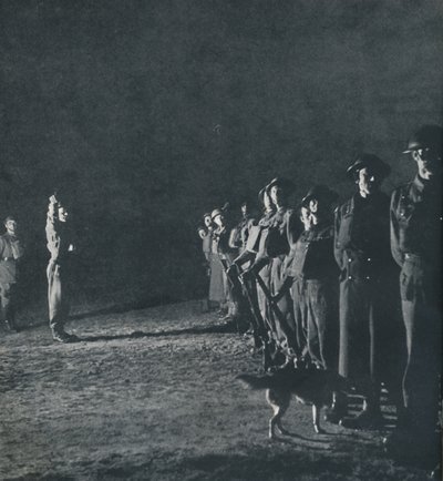 夜晚还活着，1941年 作者 塞西尔·比顿（Cecil Beaton）