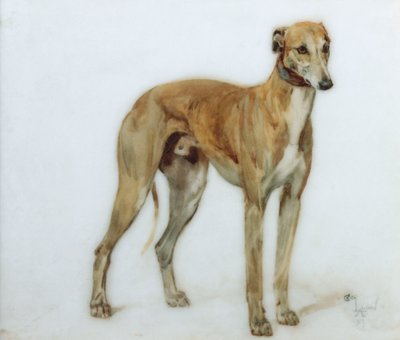 小鹿灵狮，1897年 作者 塞西尔·查尔斯·温莎·奥尔丁