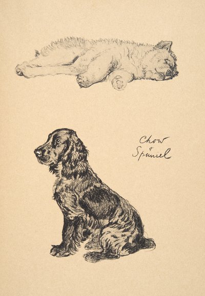 周和西班牙猎犬，1930年，他的素描书中使用的插图用于&39;刚刚在朋友中&39;，阿尔丁，塞西尔查尔斯温莎（1870-1935），后来由Eyre和Spottiswoode有限公司出版，1934年，Chalk和Ch 作者 塞西尔·查尔斯·温莎·奥尔丁