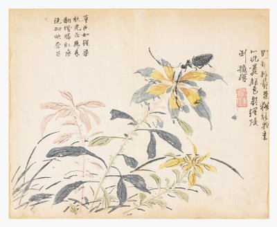 芥菜籽园 作者 晁仪（后）