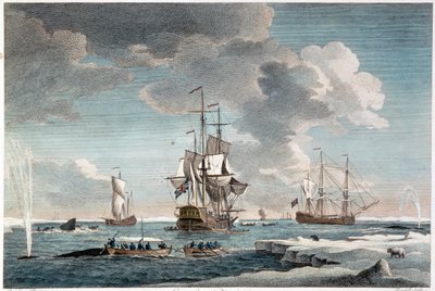 格陵兰渔场，约翰-博伊德尔（1719-1804 年）1754 年雕刻（彩色雕刻） 作者 查尔斯（后）布鲁金