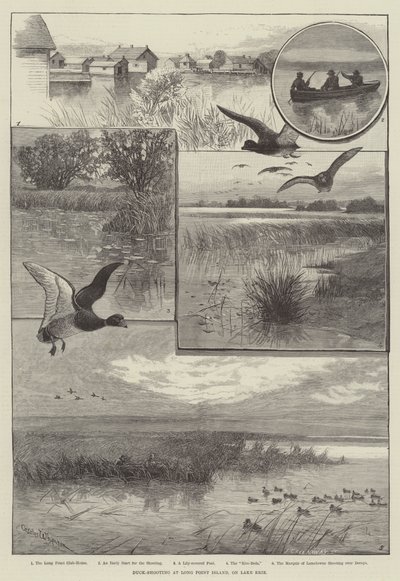 伊利湖上的长角岛射鸭子（雕版画 作者 查尔斯（之后）Whymper