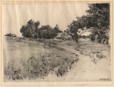 安妮角农场（Cape Ann Farm），1890年。 作者 查尔斯·亚当斯·普拉特