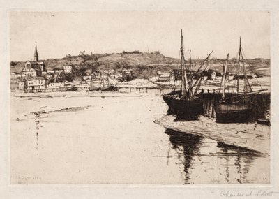 特鲁维尔，1889年。 作者 查尔斯·亚当斯·普拉特
