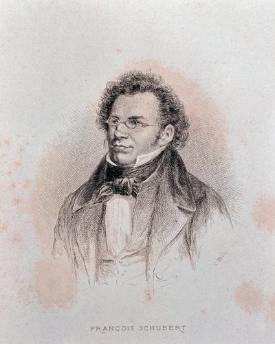 弗朗茨-舒伯特的肖像（雕版画 作者 查尔斯·阿方斯·德布鲁瓦（Charles Alphonse Deblois）