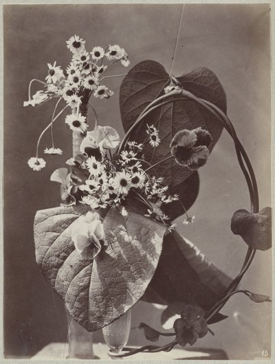 带玻璃花瓶的花艺研究 作者 A.卡拉瓦斯