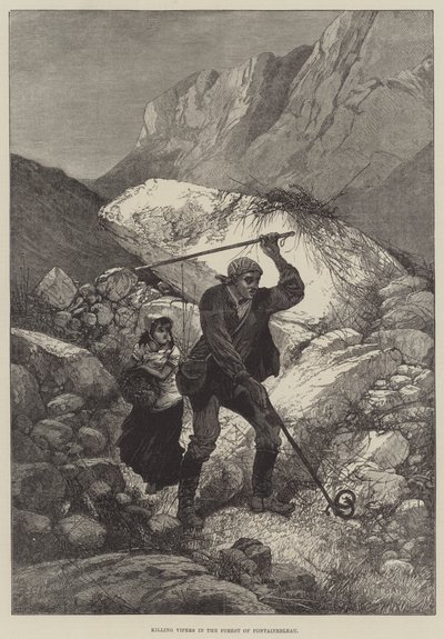 在枫丹白露森林杀害毒蛇 作者 Charles Auguste Loye
