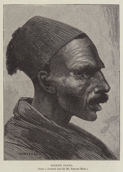 Zebehr Pasha 作者 查尔斯·奥古斯特·洛伊