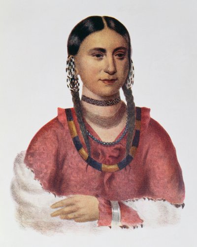 Hayne Hudjuhini或“令人愉快的鹰”，插图来自&39;北美印第安部落，第1卷&39;，作者：Thomas L. McKenney和James Hall，酒吧。约翰格兰特 作者 查尔斯·伯德·金