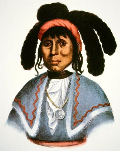 Micanopy (d.1849) c.1826 (彩色平版印刷) 作者 查尔斯·伯德·金