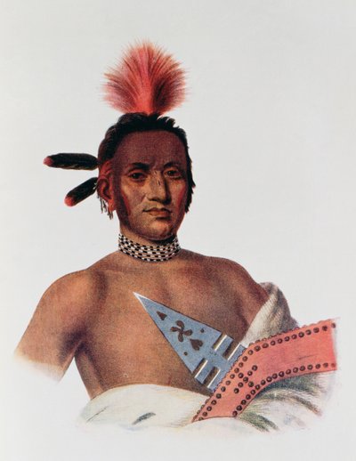 1824年爱荷华州酋长Moa-Na-Hon-Ga或&39;Great Walker&39;，来自&39;北美印第安部落，第1卷&39;，来自Thomas L. McKenney和James Hall，酒吧。约翰格兰特 作者 查尔斯·伯德·金