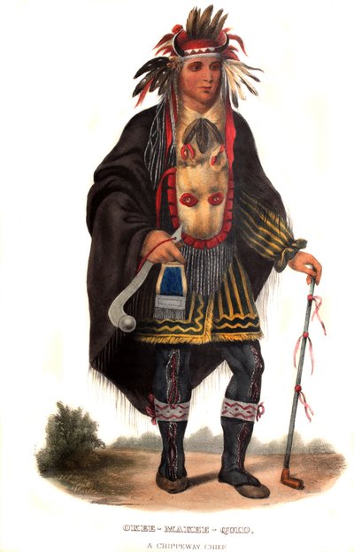Okeemakeequid，一个Chippeway酋长 作者 查尔斯·伯德·金
