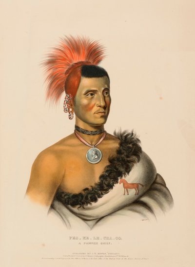 PES-KE-LE-CHA-CO, A PAWNEE CHIEF. 作者 查尔斯·伯德·金