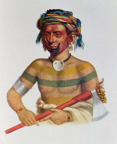 爱荷华州酋长Shau-Hau-Napo-Tinia，1837年，来自“北美印第安部落，第1卷”，来自Thomas L. McKenney和James Hall，酒吧。约翰格兰特 作者 查尔斯·伯德·金