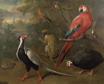 野鸡，金刚鹦鹉，猴子，鹦鹉和乌龟 作者 Charles Collins