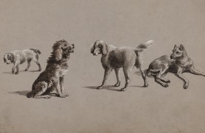 狗的研究（笔，画笔，墨水和水粉在纸上） 作者 查尔斯·库珀·亨德森