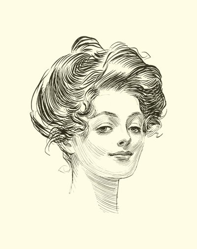 社会阶梯的插图 作者 查尔斯·达纳·吉布森