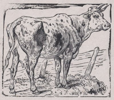 一头牛，约1853年。 作者 查尔斯·埃米尔·雅克