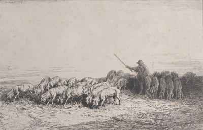 一群猪，1850年。 作者 查尔斯·埃米尔·雅克