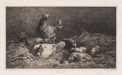 1867年的Poutes鸡。 作者 查尔斯·埃米尔·雅克
