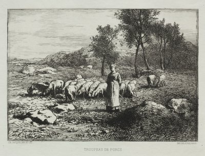 猪群，1868年。 作者 查尔斯·埃米尔·雅克
