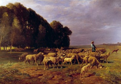 风景中的羊群或“牧羊人在平原上驾驶一群羊”查尔斯·雅克（Charles Jacque，1813-1894）19 世纪的绘画。 1,76x2,8 m 作者 查尔斯·埃米尔·雅克