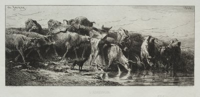 拉布吕瓦，1866年。 作者 查尔斯·埃米尔·雅克