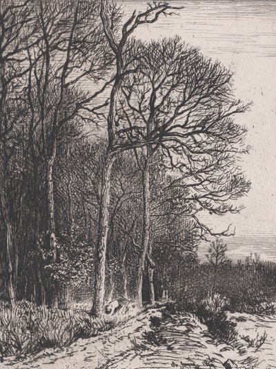 Lisière du Bois, 1846. 作者 查尔斯·埃米尔·雅克