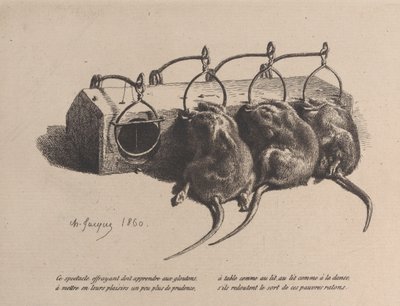 捕鼠器，1860年。 作者 查尔斯·埃米尔·雅克