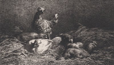 Poules, 1867. 作者 查尔斯·埃米尔·雅克