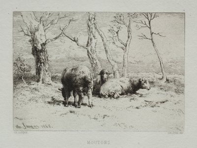 绵羊，1868年。 作者 查尔斯·埃米尔·雅克