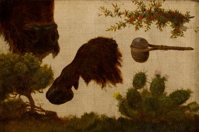 受伤的水牛 "研究：山鼠尾草、水牛头和蹄、牛浆果、石斧和仙人掌... 作者 查尔斯·费迪南德·维玛