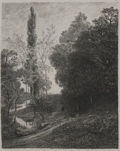 表哥河银行，1850年。 作者 查尔斯·弗朗索瓦·杜比尼