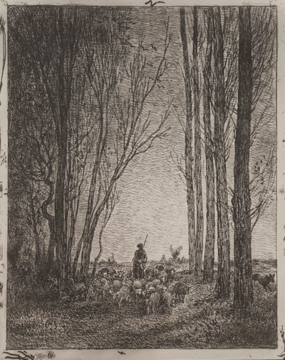 聚集在羊群中，最早的印象是1862年，于1921年印刷。 作者 查尔斯·弗朗索瓦·杜比尼