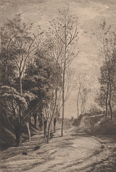 小鸟，1850年。 作者 查尔斯·弗朗索瓦·杜比尼