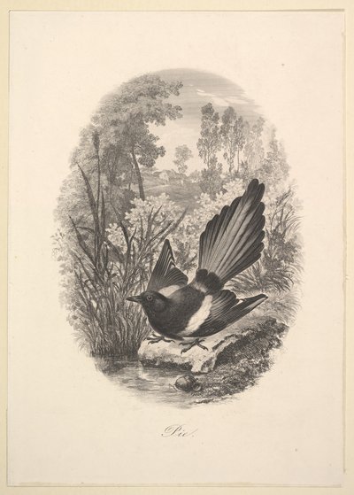 喜p，1843年。 作者 查尔斯·弗朗索瓦·杜比尼
