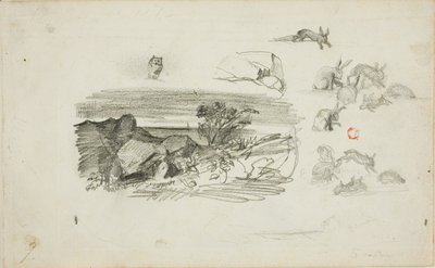 素描岩石场景和兔子 作者 查尔斯·弗朗索瓦·杜比尼